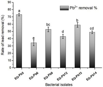 Innovative optimization for enhancing Pb2+ <mark class="highlighted">biosorption</mark> from aqueous solutions using Bacillus subtilis